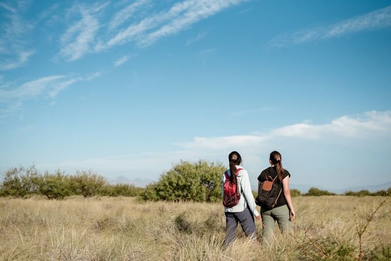 Desierto, naturaleza y espiritualidad en México